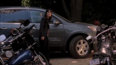 (birds chirping,
tires crunch, door opens) - The Mentalist