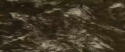 -[birds chirping]
-[water trickling] - Alone Together
