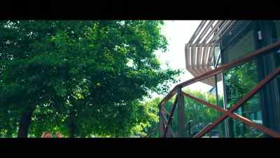 (BIRDS CHIRRUPING) - Zomboat!
