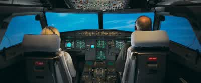 Birds! Flight Director off. 35 seconds. Engine 1 and 2 fail. - Sully