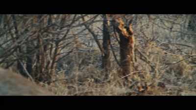 [birds chirping] - Nothing Lasts Forever