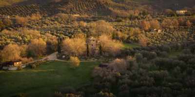 [birds singing peacefully] - La Dolce Villa