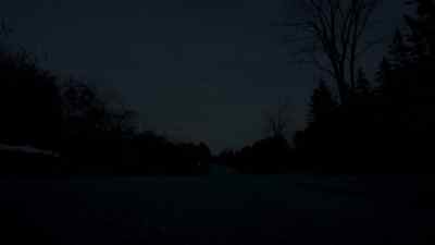 (birds singing) - In the Dark