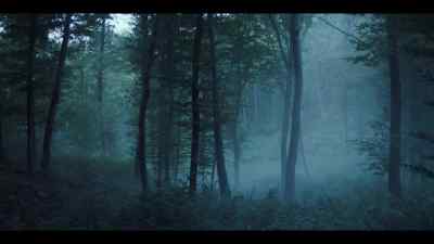 (birds singing) - Hanna