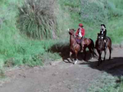 [BIRDS SINGING] - The Erotic Adventures of Zorro