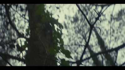 (birds singing) - Obituary