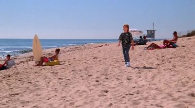 [BIRDS SINGING] - Baywatch