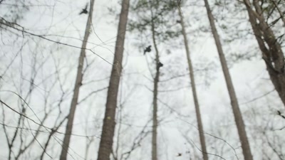 [birds squawk] - Will Trent