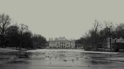 [BIRDS SQUAWKING] - Absentia