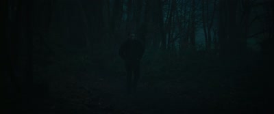 [birds squawking] - Wolf Garden