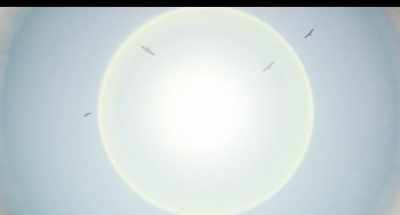 (birds squawking) - Strange Angel