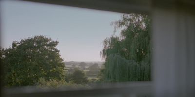 BIRDS TWITTER - Black Mirror
