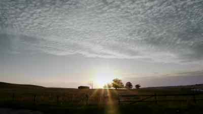 (BIRDSONG) - Wallander