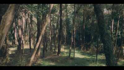 [BIRDSONG] - Mystic