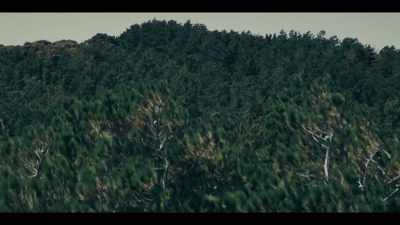 [BIRDSONG] - Mystic