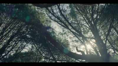 [BIRDSONG] - Mystic