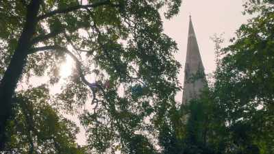 [Birdsong] - The Split