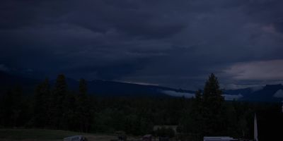 (BIRDSONG) - Yellowstone