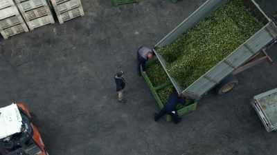 BISCEGLIA:
When we do the harvest, - Europe From Above