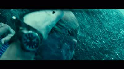 Bishop, if you pull another stunt like that, our deal is off. - Mechanic: Resurrection