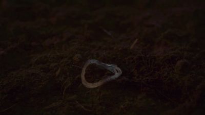 [BJORN SPITS] The harp string. - The Last Kingdom