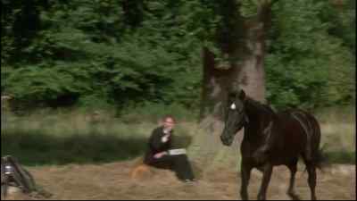 BLACK BEAUTY: Grass! - Black Beauty