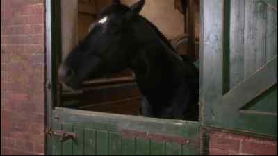 BLACK BEAUTY: Mine too. - Black Beauty