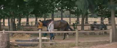 -[Black Beauty nickers]
-[John shushes] - Black Beauty