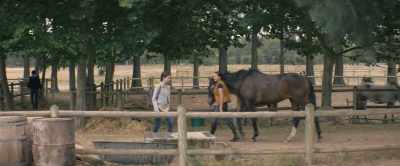 [Black Beauty nickers] - Black Beauty