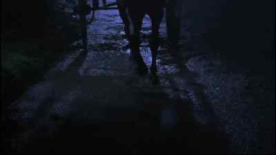 BLACK BEAUTY:
The bridge was flooded. - Black Beauty