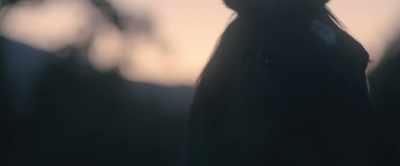 [Black Beauty]
They were like two mustangs, - Black Beauty