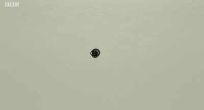 Black bodies
staggering into each other - Ear for Eye