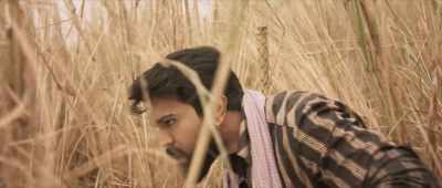 Black Cobra, - Rangasthalam
