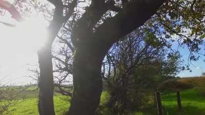 Black Down in Somerset is home - The Buildings That Fought Hitler