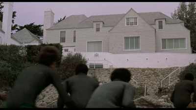 Black films
created a warrior class - Is That Black Enough for You?!?