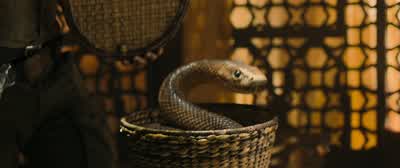 - Black mamba! - Jumanji: Welcome to the Jungle