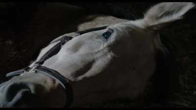 [BLADE SINGS, HORSE GROANS] - Anne Boleyn