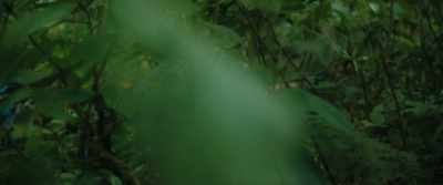 [blade slicing
through underbrush] - Echo 3