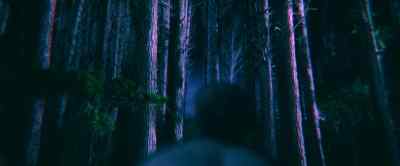 (Blake howling) - Wolf Man