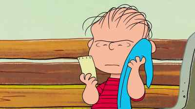 "Blanket without a license"? - The Snoopy Show