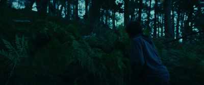 - (blast)
- (creature 4 shrieking) - The Animal Kingdom