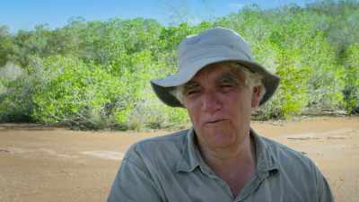 Blazing sun overhead,
really high humidity - Attenborough's Life in Colour