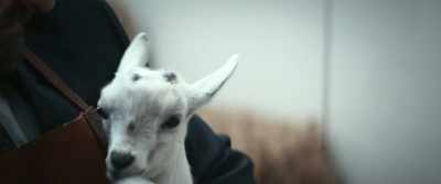[bleating] - Severance