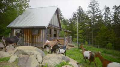 (bleating) - Restaurants at the End of the World