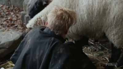 (BLEATING) - Lambs of God