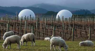[bleating] - Kim Dotcom: Caught in the Web