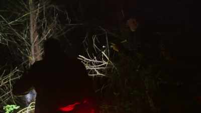 -[bleep]
-It looks-- - Expedition Bigfoot