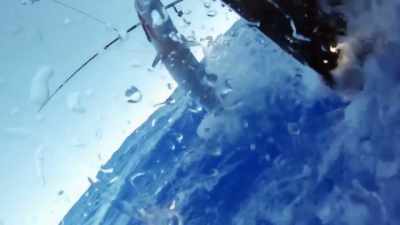 [bleep] - Deadliest Catch: Bloodline