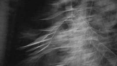 [bleep] - Expedition Bigfoot