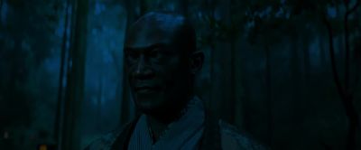 Blind Master Every warrior has a weakness your enemy can exploit - Snake Eyes